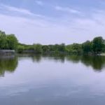 Lake 湖 湖畔 癒し リラックス 休養 休憩 瞑想 作業用 勉強用 Lakeside Healing Relax Meditation Working Studying Lofi Jazz