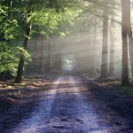 【RelaxMusic/ASMR】～528Hz～【癒し/リラックス/ヒーリング/ゾーン/睡眠/瞑想/集中/環境/自然/勉強/作業/BGM/疲労回復/ストレス解消】