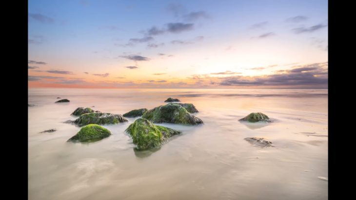 【RelaxMusic/ASMR】～528Hz～【癒し/リラックス/ヒーリング/ゾーン/睡眠/瞑想/集中/環境/自然/勉強/作業/BGM/疲労回復/ストレス解消】