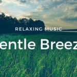 【Relaxing Music】【ASMR】～Gentle Breeze～【癒し・リラックス・睡眠・瞑想・勉強・作業用・BGM】【疲労回復・ストレス解消・集中力アップ】