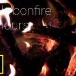 【４時間 安眠&作業用】焚き火/bonfire【癒しBGM &AMSR】