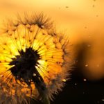 バンブーウォーターファウンテン、不安不眠改善、癒し音楽～精神安定、瞑想、ヨガ、睡眠用、疲労回復et …【癒し音楽BGM】