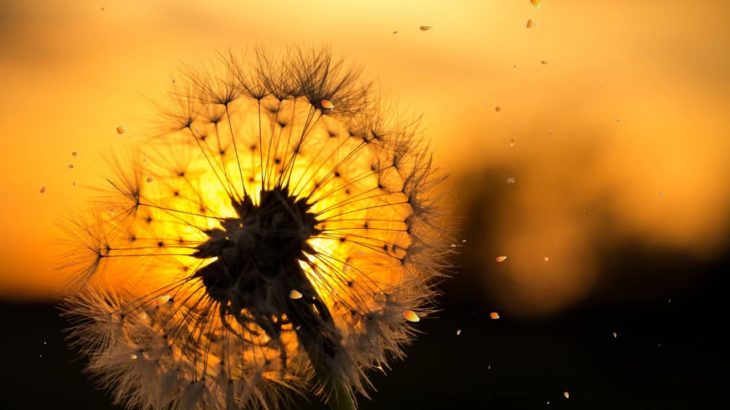 バンブーウォーターファウンテン、不安不眠改善、癒し音楽～精神安定、瞑想、ヨガ、睡眠用、疲労回復et …【癒し音楽BGM】