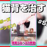猫背を治すラクダのポーズバリエーション ヨガショート動画#shorts