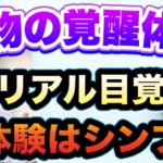 【本物スピリチュアル覚醒体験】宇宙の真理を悟ったリアル体験談！人生フルボッコから自己探求難民へ・・・そして今が幸せド変態バカリスマに目覚めたんだぜ〜^ ^