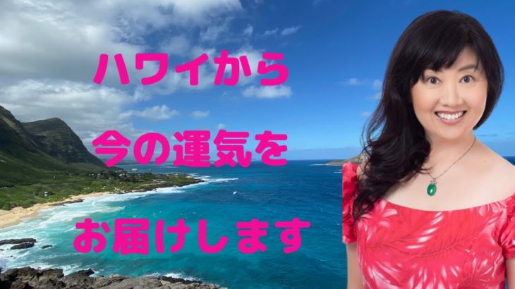 ハワイからメッセージをお届けいたします／ハワイのスピリチュアルカウンセラーエリー／マナアクアカード