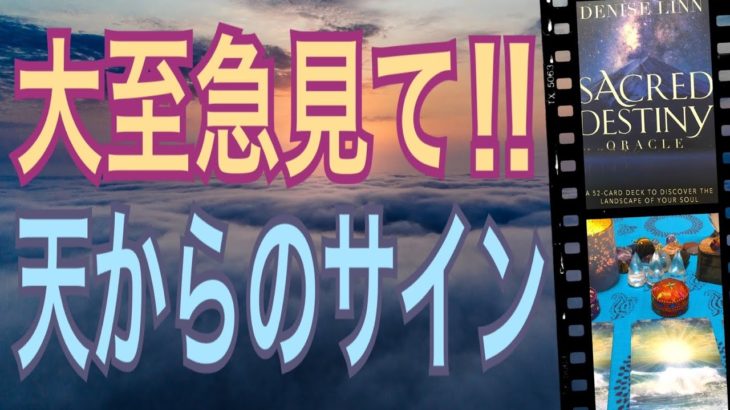 【スピリチュアルカードリーディング】大至急見て‼️天からのサイン🌈見てよかっと絶対思えます😌💕オラクルカードリーディング✨占い✨３択✨