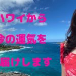 ハワイからメッセージをお届けいたします／ハワイのスピリチュアルカウンセラーエリー／マナアクアカード