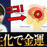 【スピリチュアル】現代人の松果体は石灰化?! この方法で活性化させると願いが叶う！
