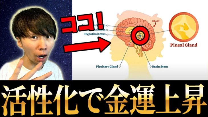 【スピリチュアル】現代人の松果体は石灰化?! この方法で活性化させると願いが叶う！