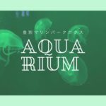 【マインドフルネス癒しなど】水族館動画•登別マリンパークニクス