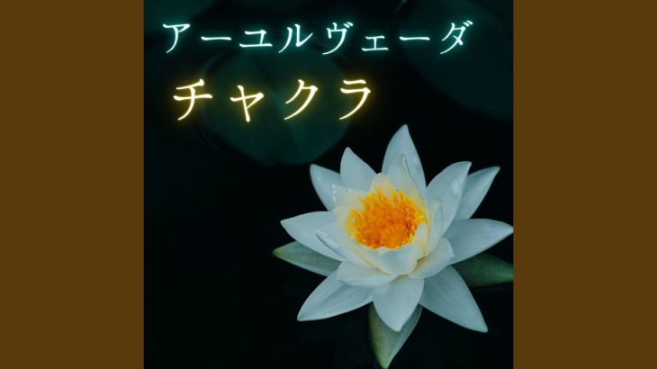 瞑想やヨガの音楽