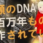 【衝撃】すべての人が何らかの影響を受けることになります！！ハイヤーセルフからのメッセージがヤバすぎる！！【スピリチュアル】