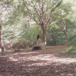 《瞑想のじかん》瞑想の入り口。マインドフルネス呼吸法