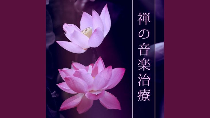 禅瞑想マインドフルネス