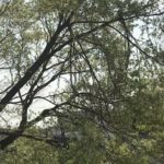 アファメーションマインドフルネス瞑想🧘‍♂️🧘‍♂️🧘‍♂️