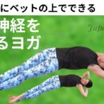 【毎日朝ヨガ無料オンライン配信】寝起きにベットの上でできる自律神経調整ヨガ
