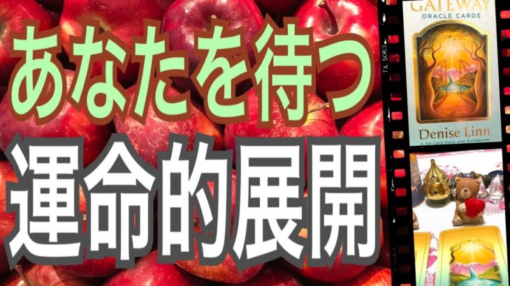 【運命】あなたを待つ運命的展開😳🌈スピリチュアルカードリーディング✨オラクルカードリーディング✨人生が変わるリーディング✨チャネリング✨占い✨３択✨