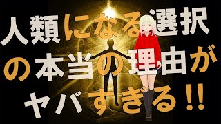【衝撃】人類覚醒のプロセスはまさに最終段階にある！？イエスからのメッセージがヤバすぎる！！【スピリチュアル】