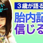 【スピリチュアル？科学？】胎内記憶って信じますか？ ３歳８か月の娘の実例より……茶色い山？ 黄色と紫？ あたたかかった？