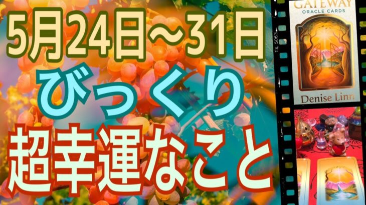 ５月２４日〜３１日✨びっくり超幸運😆🙌スピリチュアルカードリーディング✨恐ろしいほど当たる✨オラクルカードリーディング✨占い✨３択✨