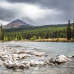 【自然音】小川のせせらぎ　癒し　集中　瞑想