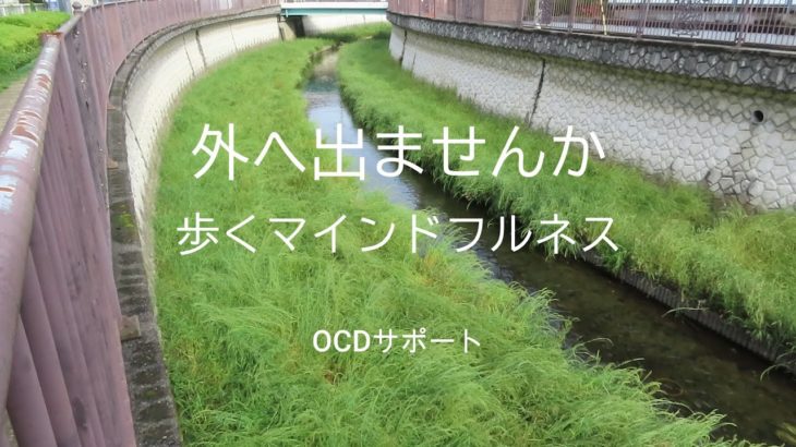 外へ出ませんか　歩くマインドフルネス