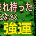 【強運】生まれ持ったあなたの強運😊💪知っていましたか？オラクルカードリーディング✨スピリチュアルカードリーディング✨びっくり幸運✨占い✨３択✨