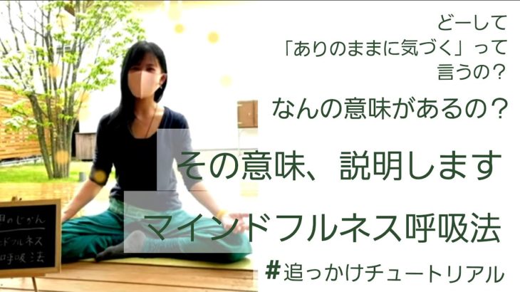 【再編集！分かりやすく字幕＆説明を追加しました】マインドフルネスの疑問、解消しましょう #１ | 追っかけチュートリアル【 ありのままって何？何の意味があるの？】