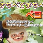 ぺヨガ⭐️さちぺとまちぺ⭐️噛み合ってないようで、人類で一番気の合う２人⭐️まちぺ今日の一言