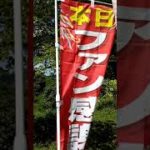 スピリチュアルな蝶という存在