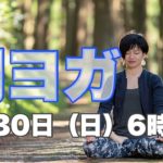 朝ヨガオンライン ゆるヨガ