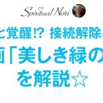 観ると覚醒⁉ 発禁映画「美しき緑の星」を解説しま～す☆接続解除とは何か？（後半は皆様の質問にお答え＆コメント紹介）
