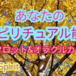 あなたのスピリチュアル能力♪タロット＆オラクルカードリーディング