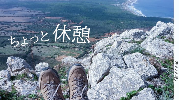 マインドフルネスのすすめ