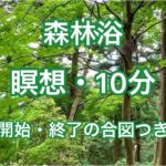 【森林浴・瞑想・10分（開始と終了の合図つき）／癒し・リラックス・自律神経を整える】