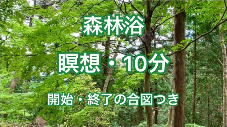【森林浴・瞑想・10分（開始と終了の合図つき）／癒し・リラックス・自律神経を整える】