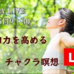 【丹田力を高める 朝ヨガ チャクラ瞑想】心と体の中心となる丹田力を高める 第2チャクラ活性化 15分ライブ配信 #13