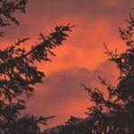 深い睡眠音楽、不眠症、睡眠瞑想、穏やかな音楽、睡眠療法、研究、リラックス、癒し 2