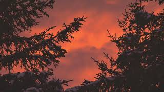 深い睡眠音楽、不眠症、睡眠瞑想、穏やかな音楽、睡眠療法、研究、リラックス、癒し 2