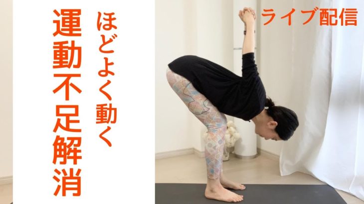 30分 全身ほぐし＋太陽礼拝アレンジ リフレッシュ朝ヨガ