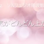 【マインドフルネス瞑想 • 30分】聴けば聴くほど運気が上がる  瞑想音楽   奇跡の 528 hz ソルフェジオ 周波数 　潜在意識 の書き換え