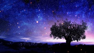 30分 睡眠導入音楽｜ものすごく深く眠れる癒しの音楽｜睡眠用bgm | 眠れる 曲