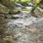 【睡眠】【癒し】清流のせせらぎ 44分 natural sound river flow
