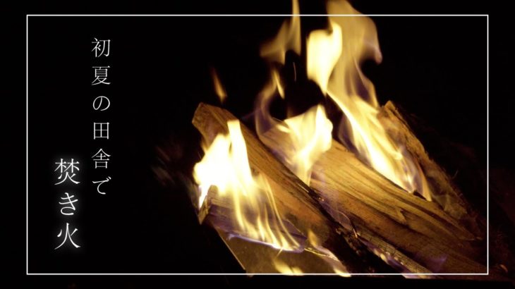 【4K】焚き火とカエルの鳴き声のコラボ 癒し動画 安眠 睡眠