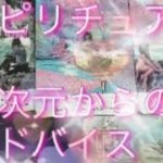 〈選択5択〉見た時タイミング🕊あなたのスピリチュアルについて高次元からのアドバイス