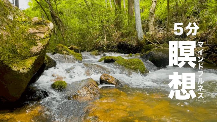 【5分瞑想】山奥に流れる渓流の音でマインドフルネス瞑想