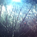 【睡眠・瞑想・528Hz】ソルフェジオ周波数で壊れたDNA、細胞を修復してくれる癒しの音楽で眠りを誘う…疲労とストレスを浄化しながらゆっくりと入眠…