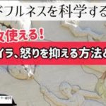 【9分】怒りを抑える方法とは？マインドフルネスを科学する|瞑想塾