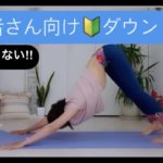 【ヨガ初心者さんのためのダウンドッグ】　#91 もう辛くない！ダウンドッグ！！